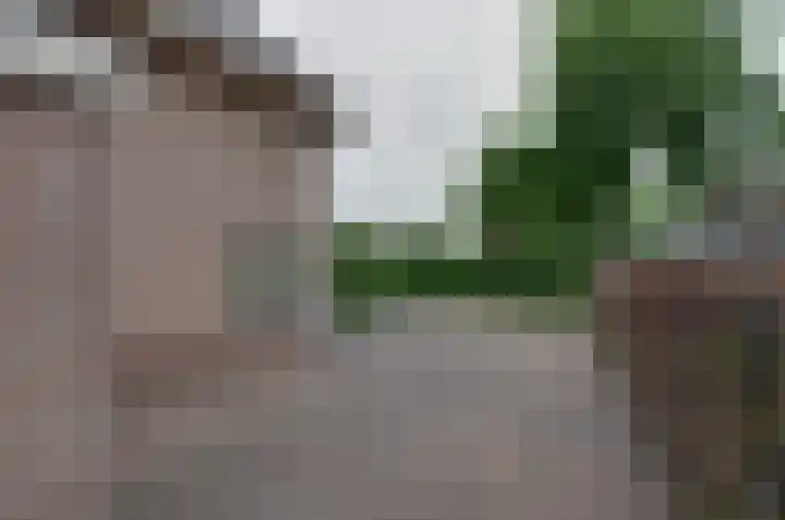 De Venne 27 Beilen thumbnail 38