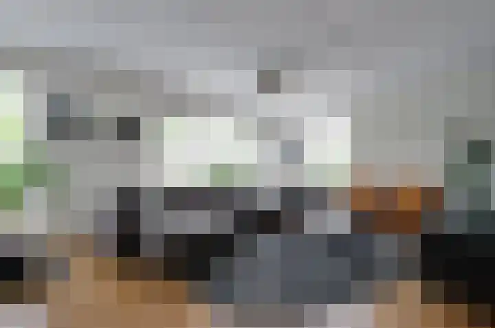 De Venne 27 Beilen thumbnail 6