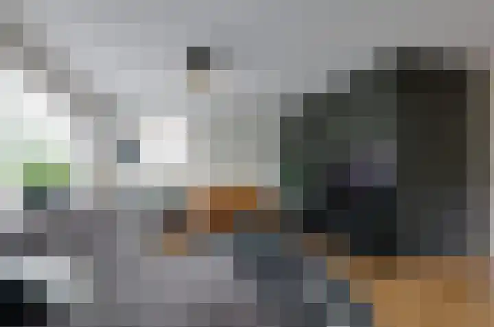 De Venne 27 Beilen thumbnail 7