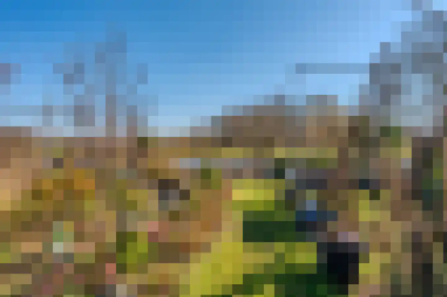 De Vennen 112 Vlagtwedde thumbnail 10