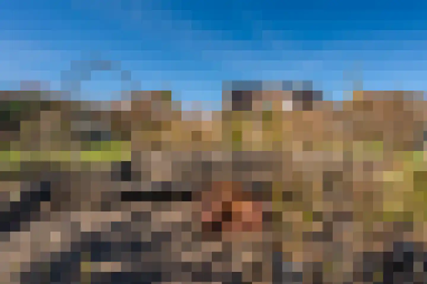De Vennen 112 Vlagtwedde thumbnail 14