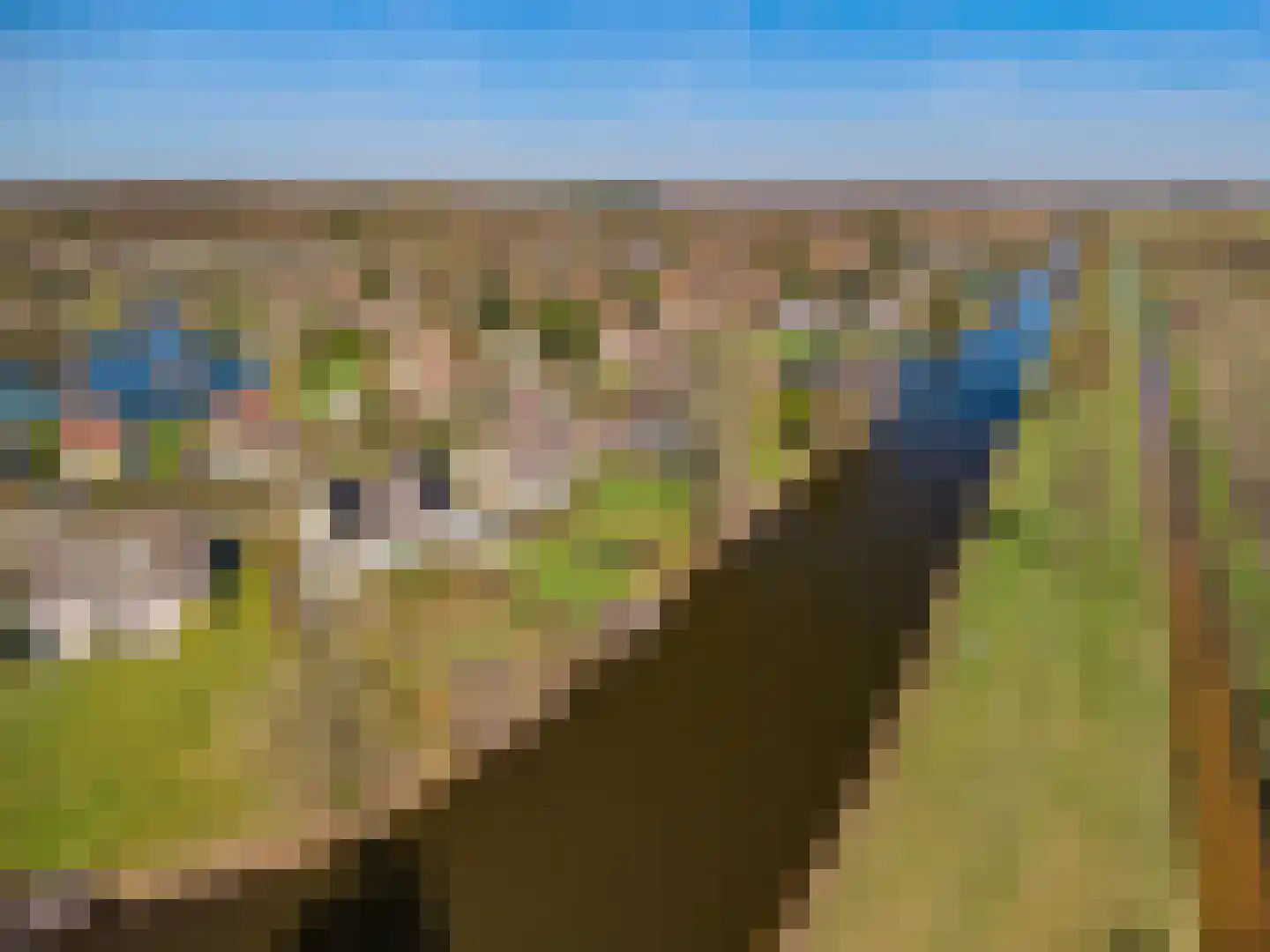 De Vennen 112 Vlagtwedde thumbnail 16
