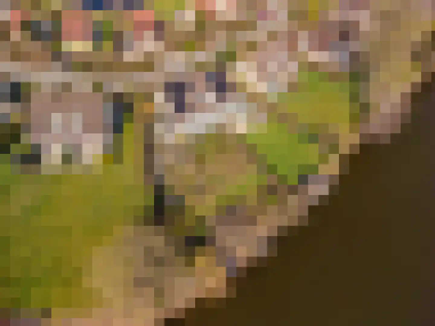 De Vennen 112 Vlagtwedde thumbnail 17