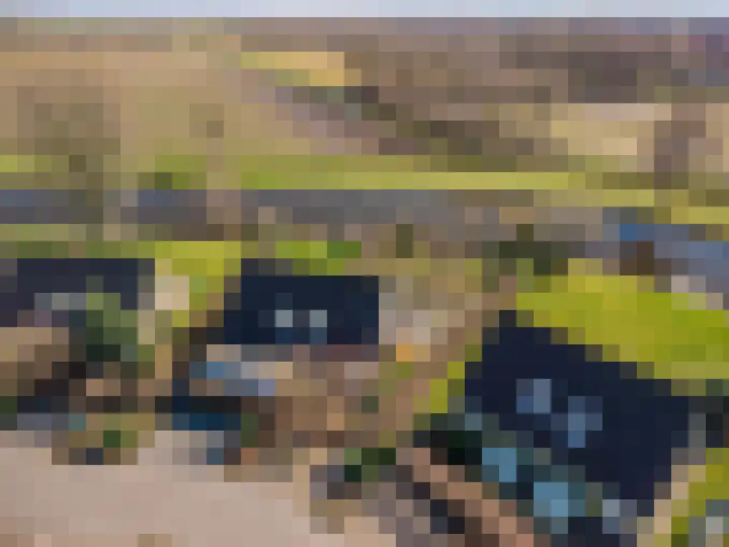 De Vennen 112 Vlagtwedde thumbnail 18