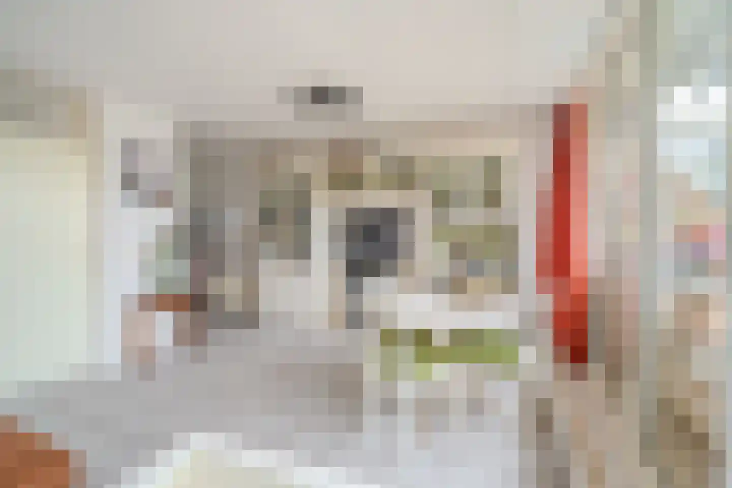 De Vennen 112 Vlagtwedde thumbnail 21
