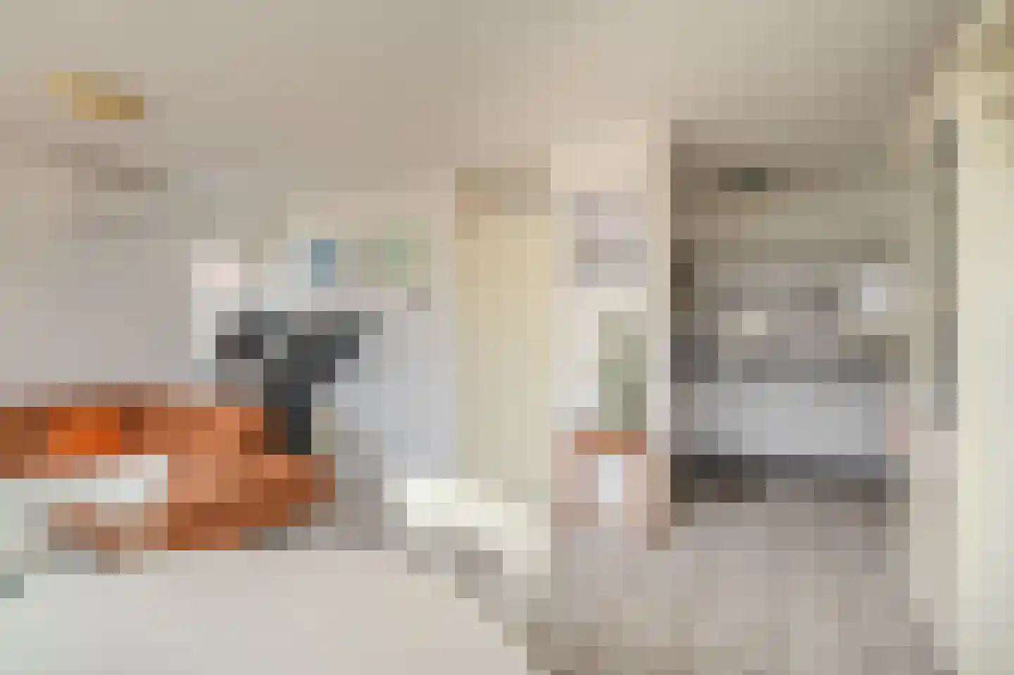 De Vennen 112 Vlagtwedde thumbnail 24