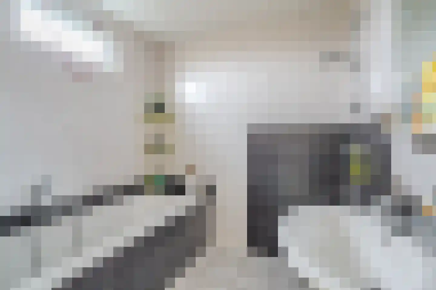 De Vennen 112 Vlagtwedde thumbnail 27