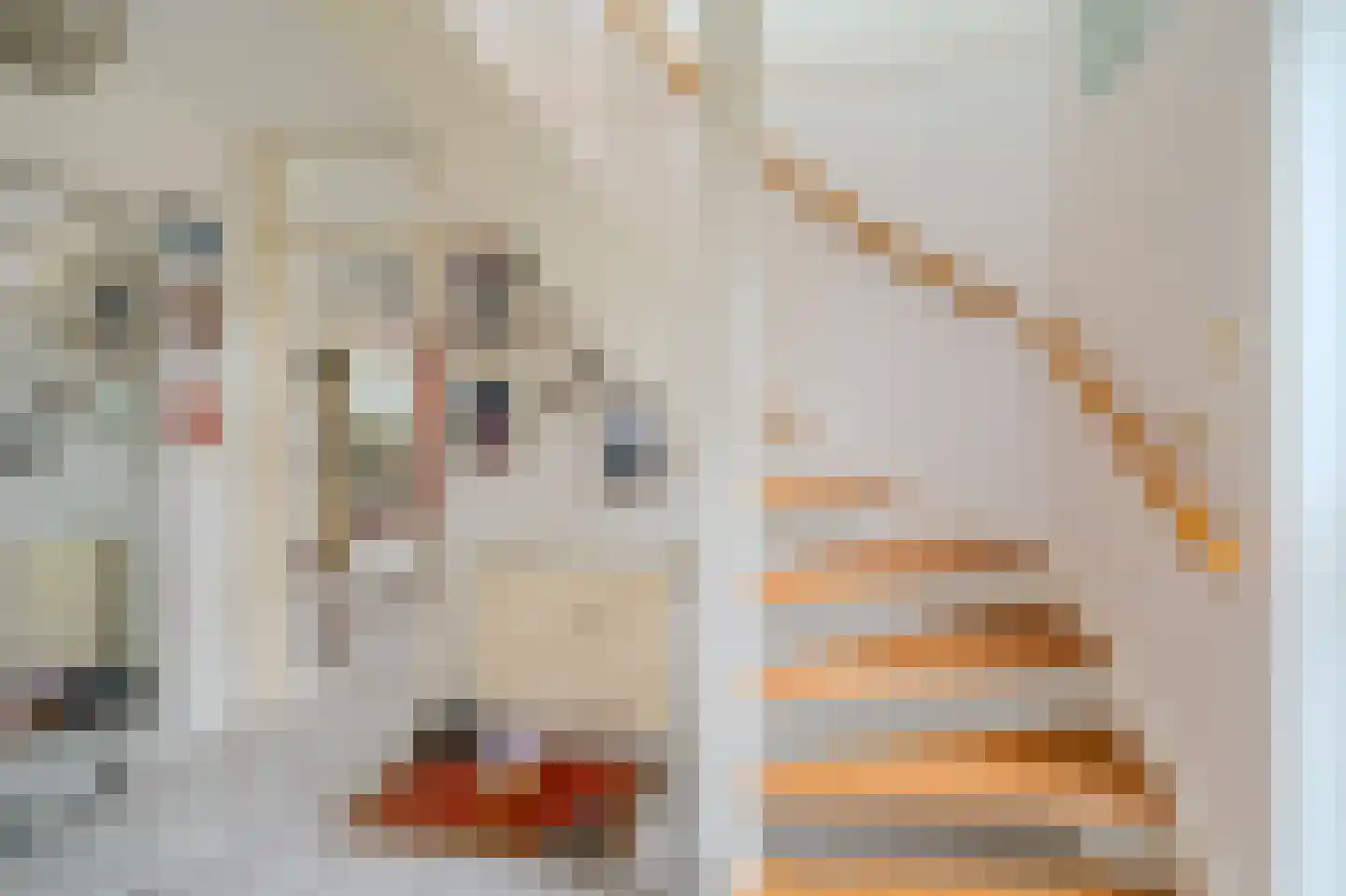 De Vennen 112 Vlagtwedde thumbnail 29