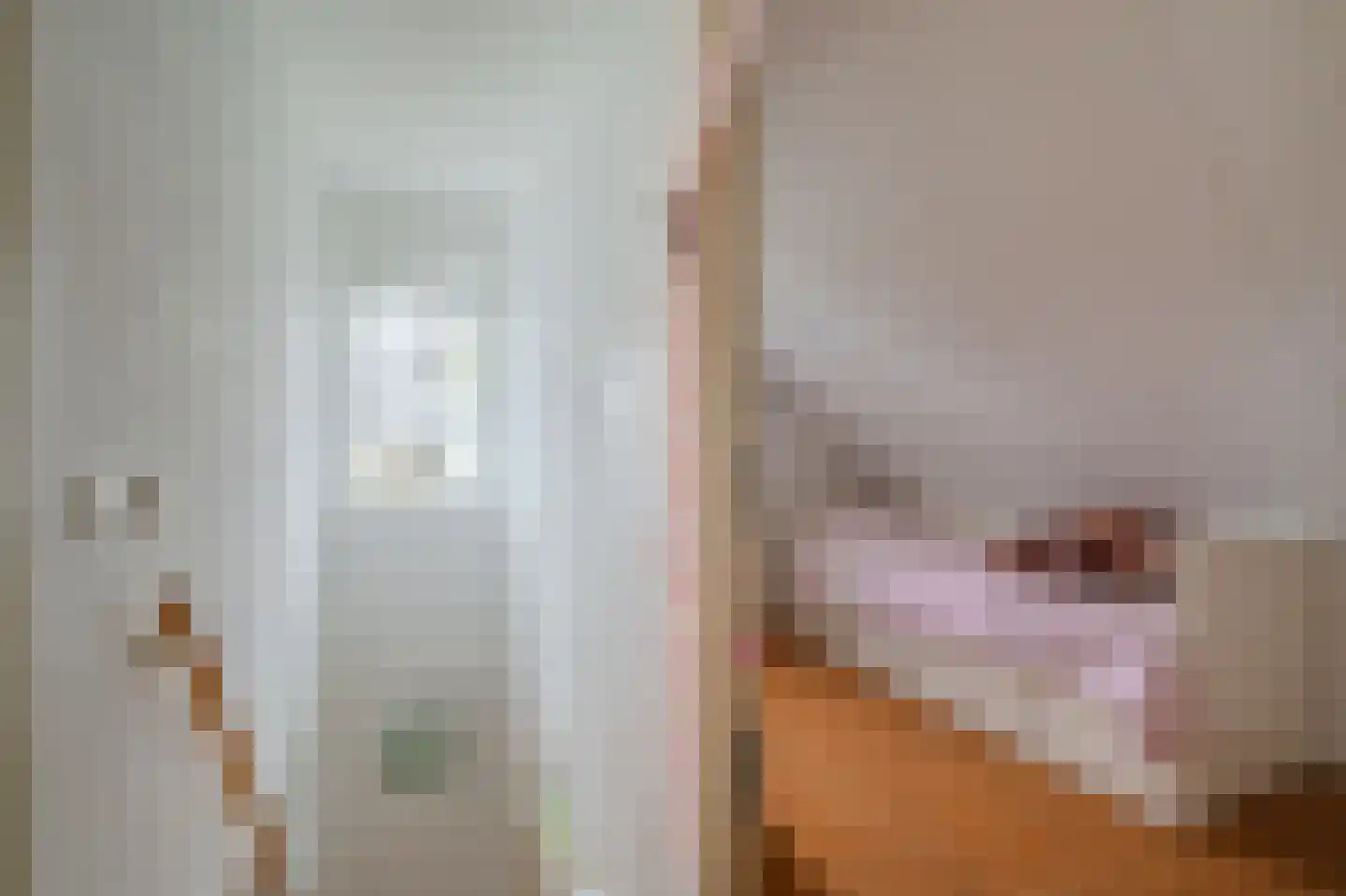 De Vennen 112 Vlagtwedde thumbnail 30
