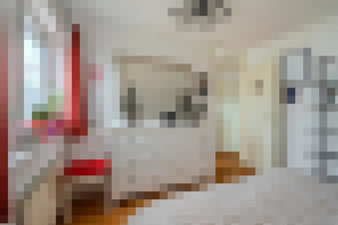 De Vennen 112 Vlagtwedde thumbnail 35