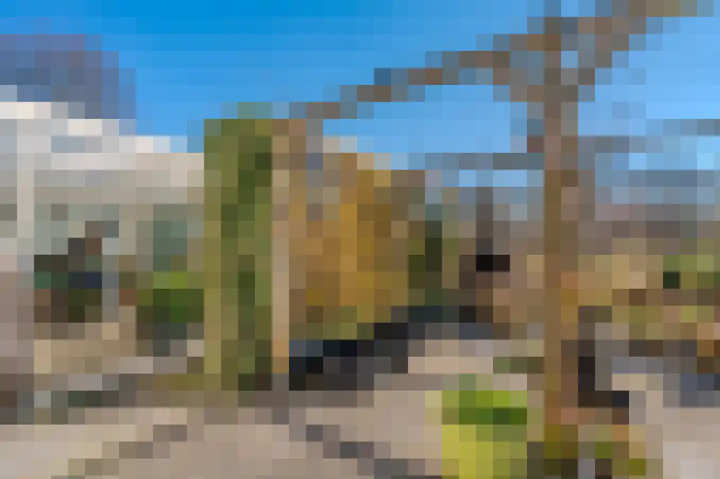 De Vennen 112 Vlagtwedde thumbnail 7