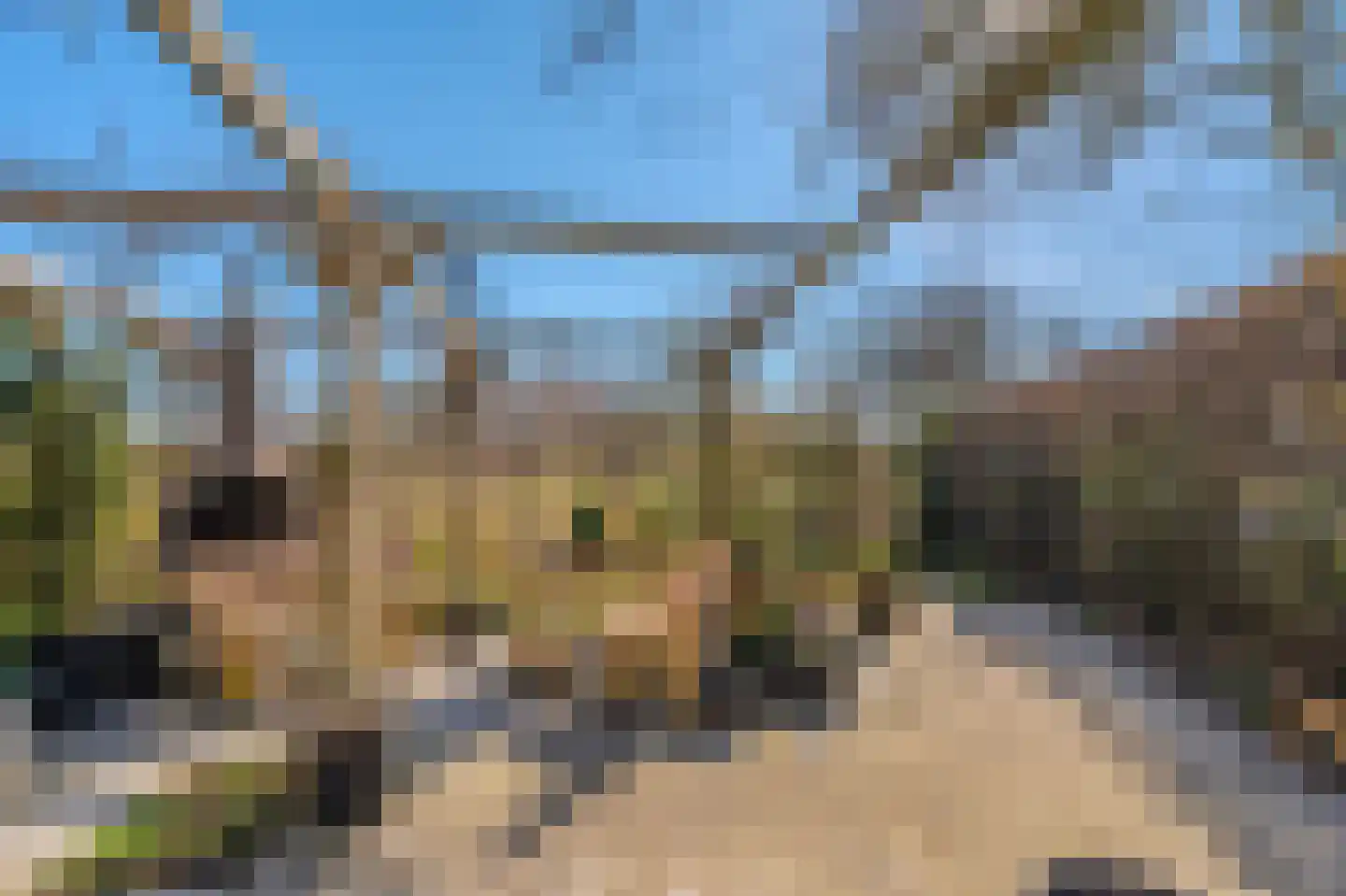 De Vennen 112 Vlagtwedde thumbnail 8