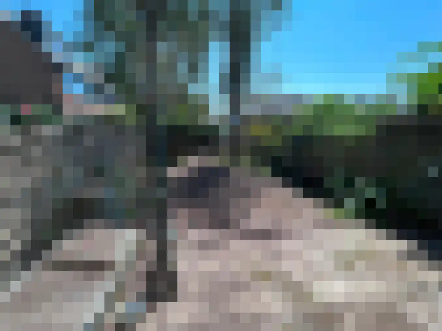 De Vennen 12 Broek in Waterland thumbnail 4