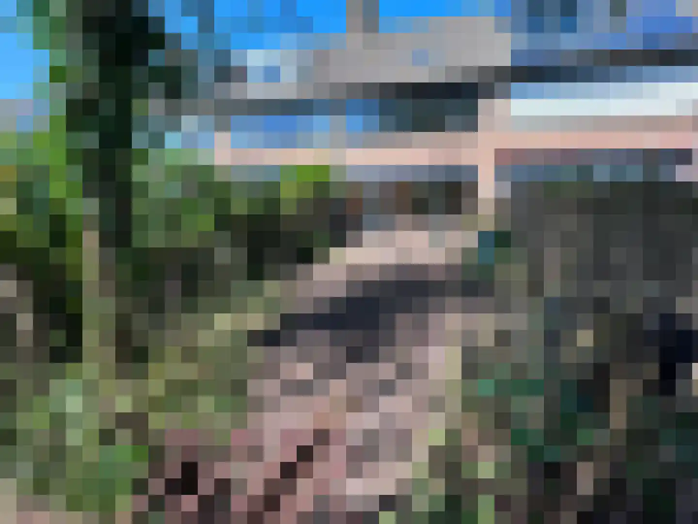 De Vennen 12 Broek in Waterland thumbnail 5