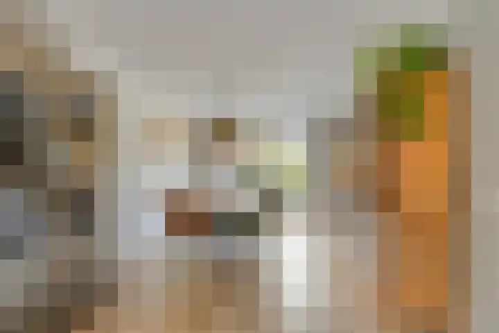 de Vennen 13 Roden thumbnail 13