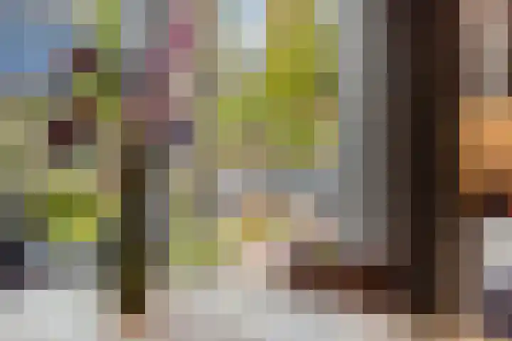 de Vennen 13 Roden thumbnail 16