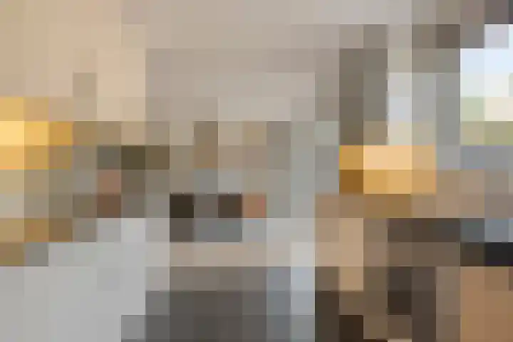 de Vennen 13 Roden thumbnail 18