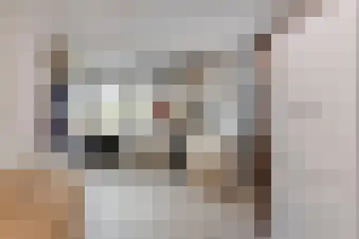 de Vennen 13 Roden thumbnail 20