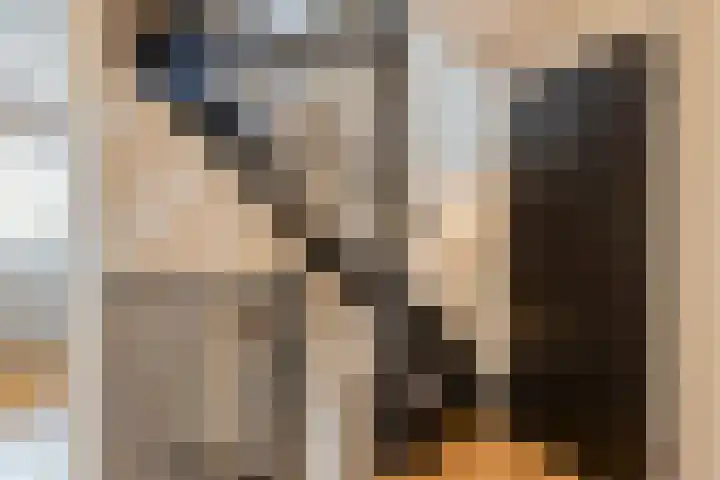 de Vennen 13 Roden thumbnail 21