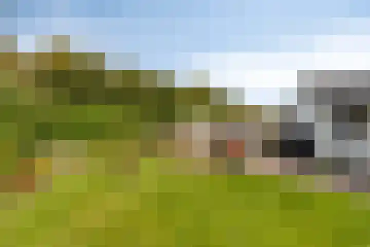 de Vennen 13 Roden thumbnail 33