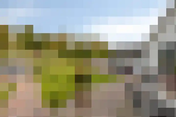 de Vennen 13 Roden thumbnail 35