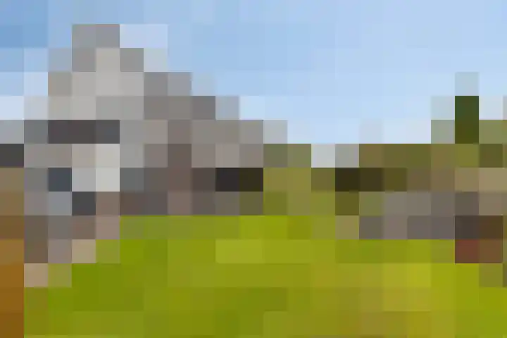 de Vennen 13 Roden thumbnail 36