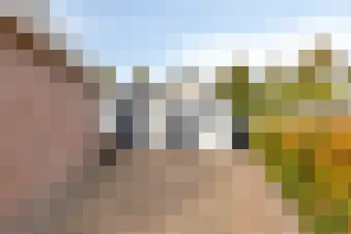 de Vennen 13 Roden thumbnail 37