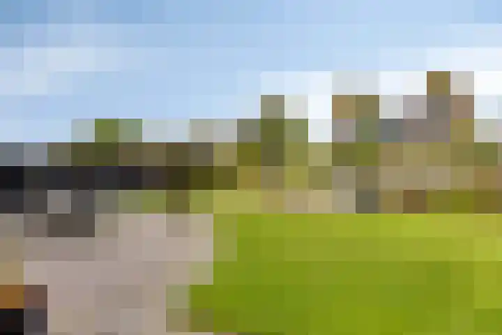 de Vennen 13 Roden thumbnail 38