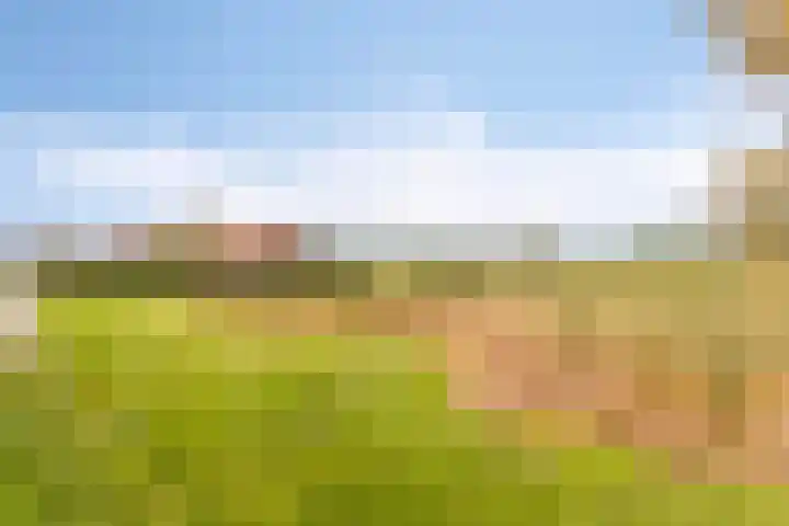 de Vennen 13 Roden thumbnail 39