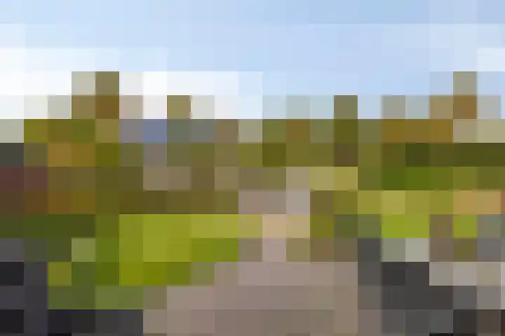 de Vennen 13 Roden thumbnail 4