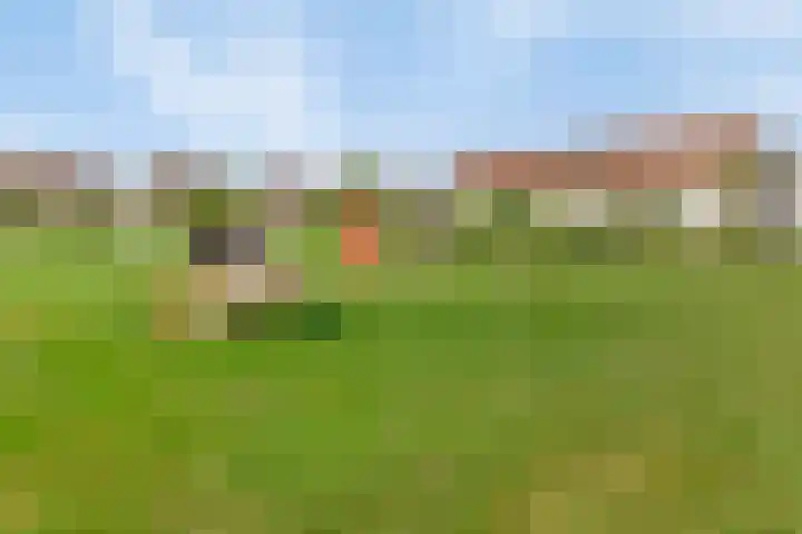de Vennen 13 Roden thumbnail 41