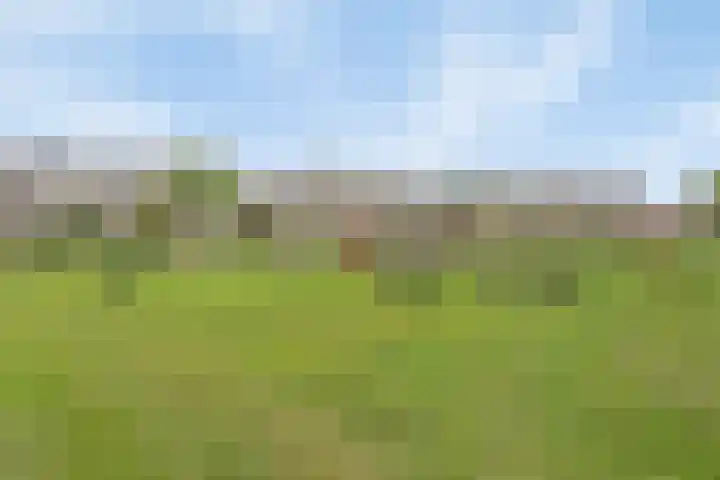 de Vennen 13 Roden thumbnail 42