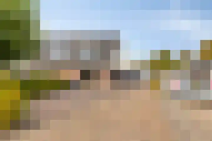 de Vennen 13 Roden thumbnail 6