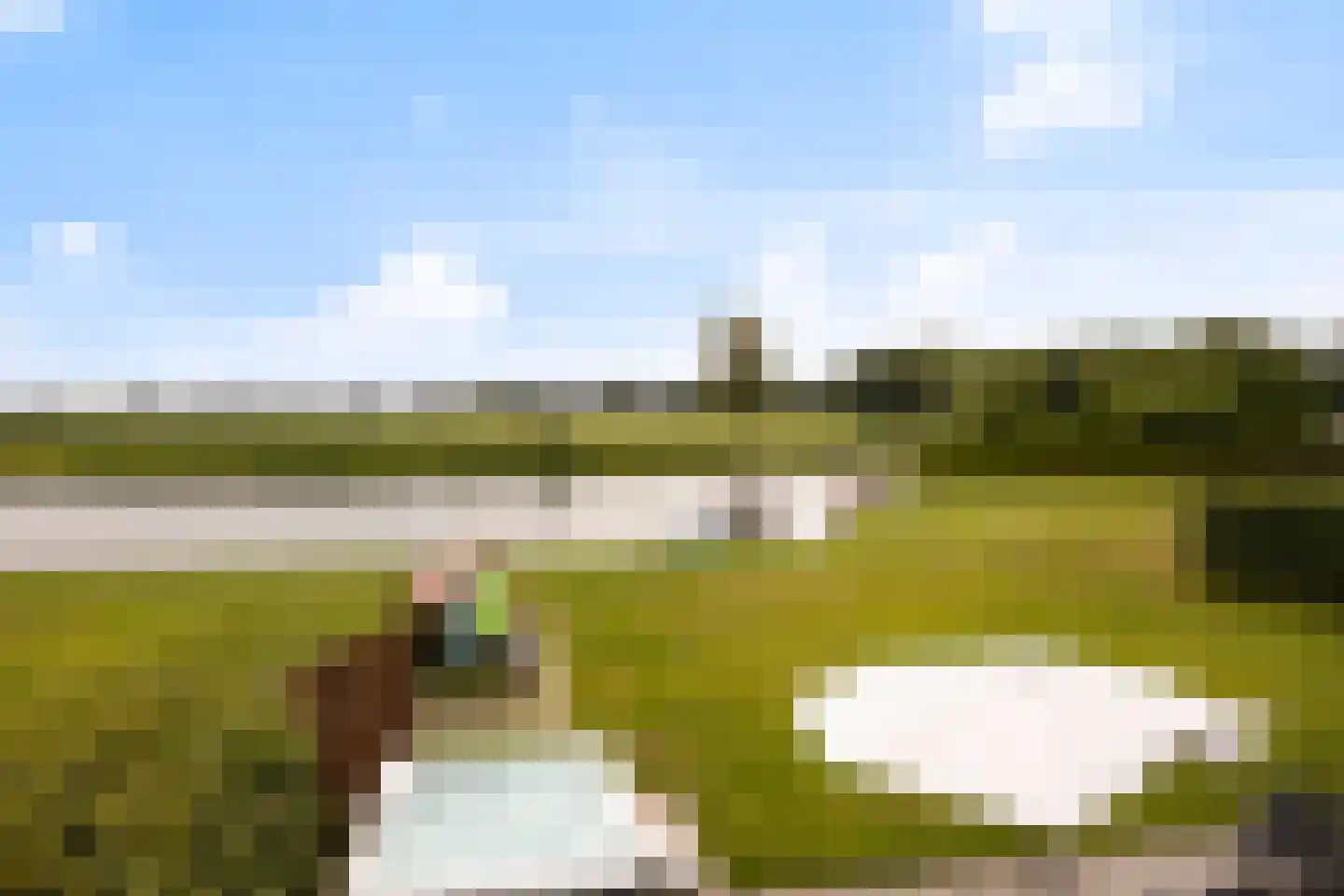 De Vennen 132 Vlagtwedde thumbnail 13