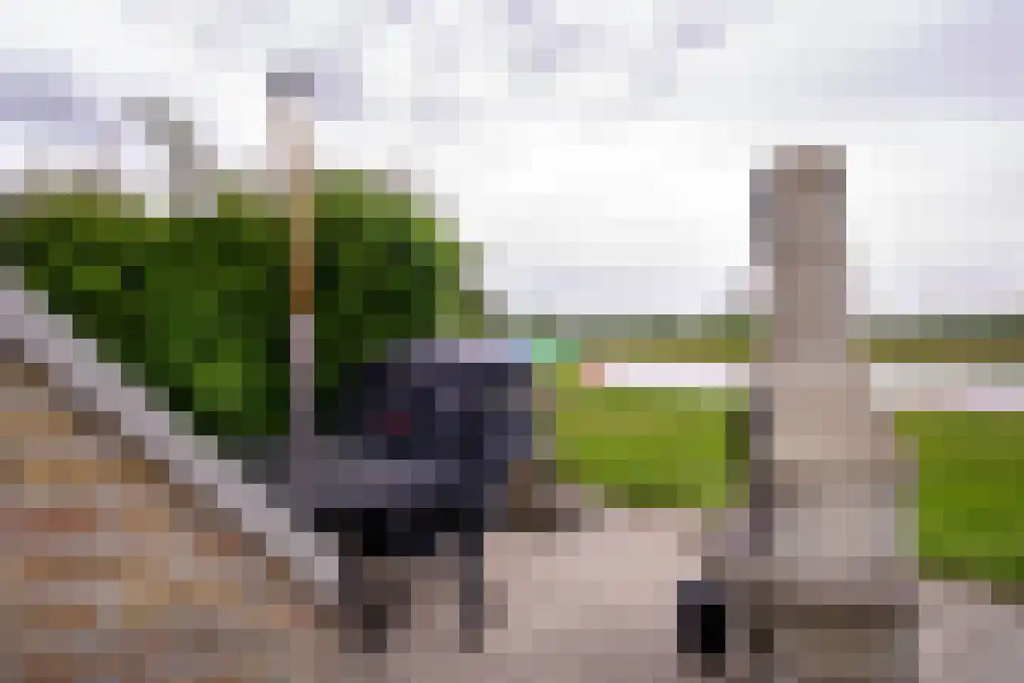 De Vennen 132 Vlagtwedde thumbnail 14