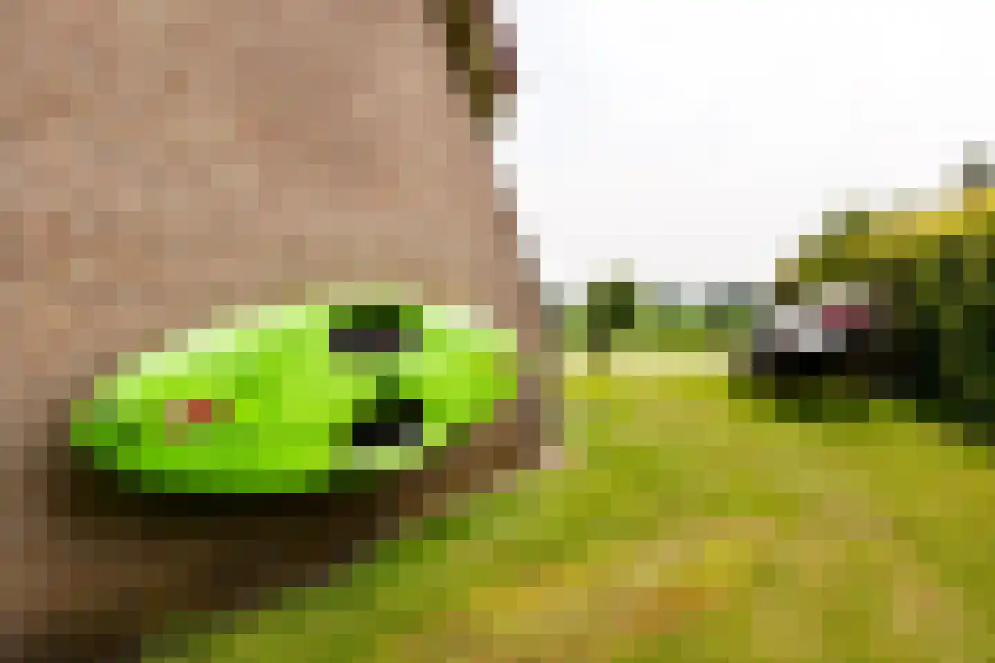 De Vennen 132 Vlagtwedde thumbnail 15