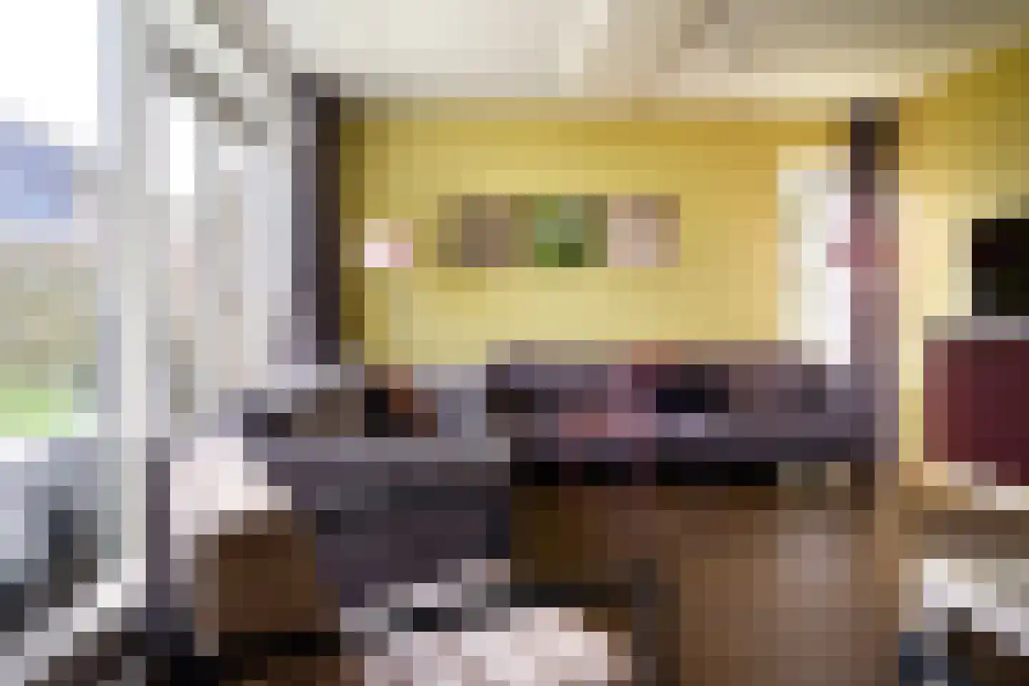 De Vennen 132 Vlagtwedde thumbnail 20