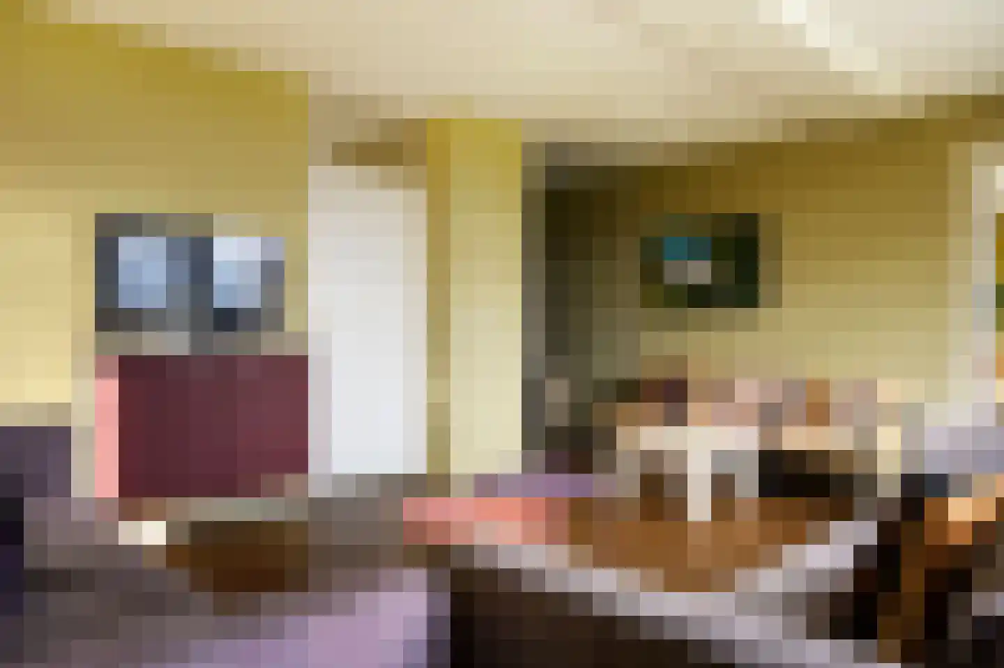 De Vennen 132 Vlagtwedde thumbnail 23