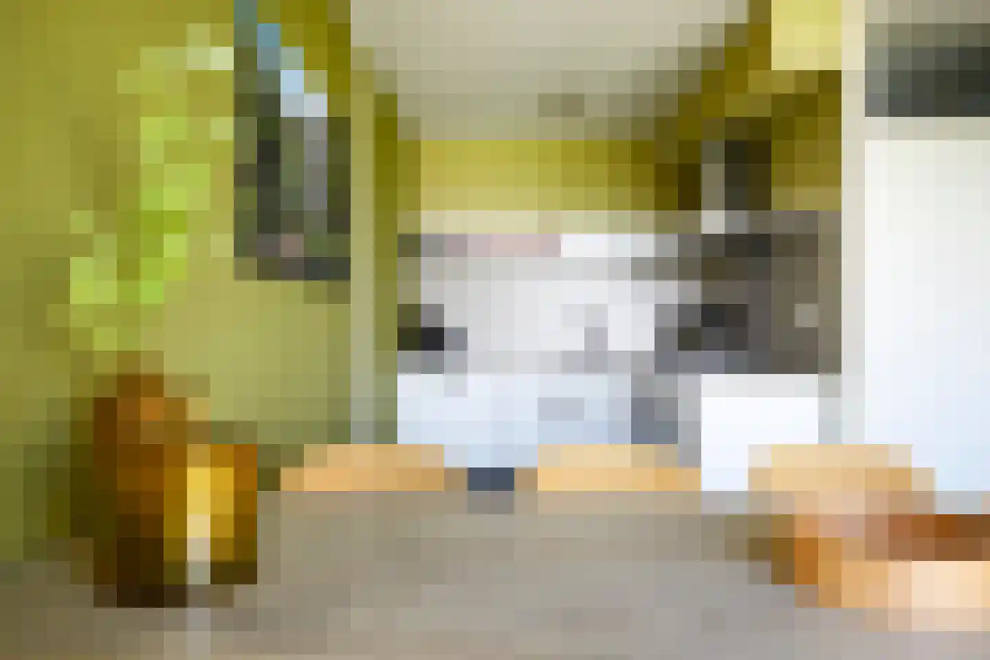 De Vennen 132 Vlagtwedde thumbnail 28