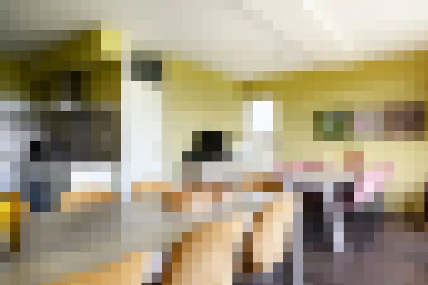 De Vennen 132 Vlagtwedde thumbnail 29