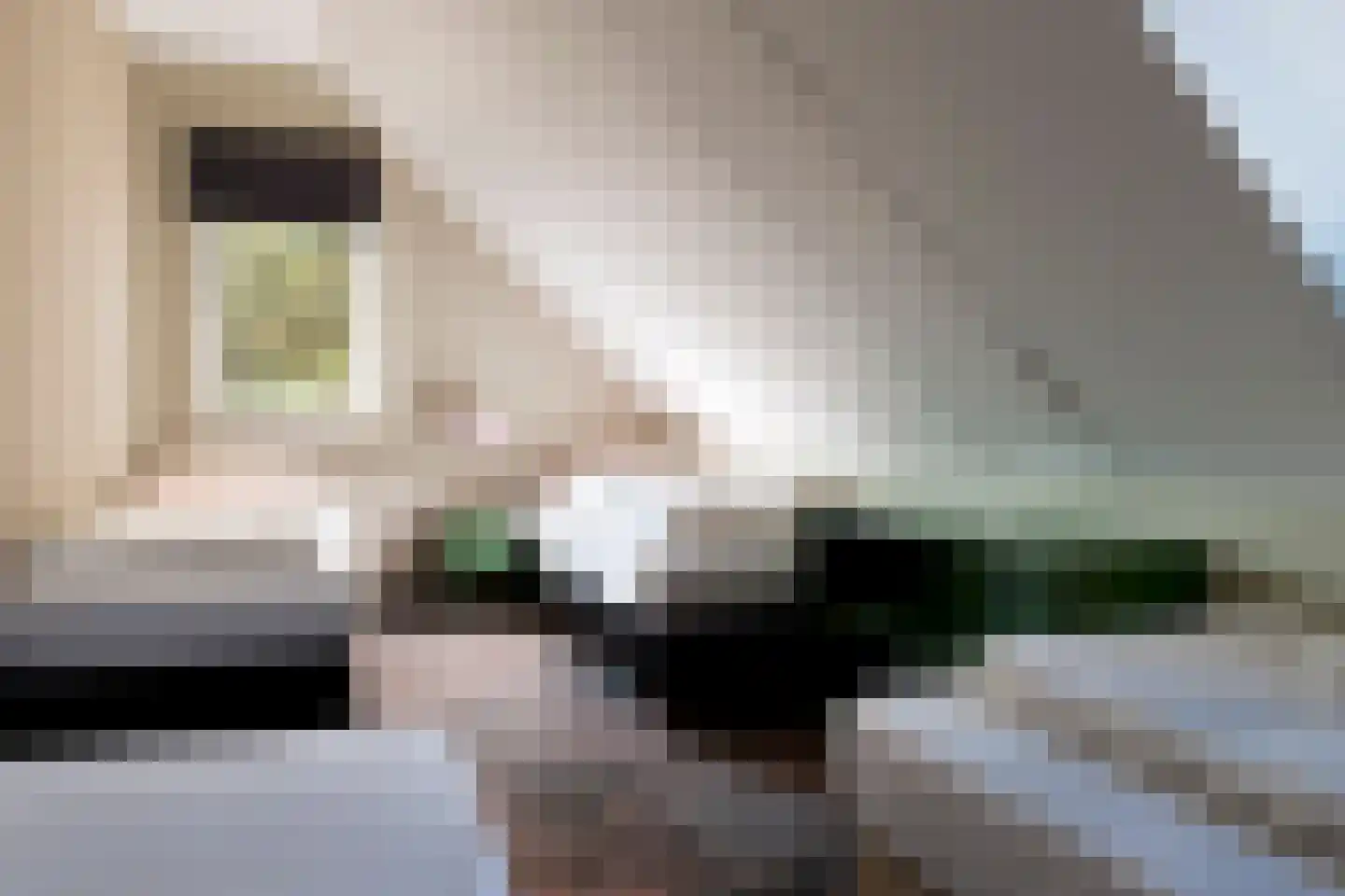 De Vennen 132 Vlagtwedde thumbnail 35