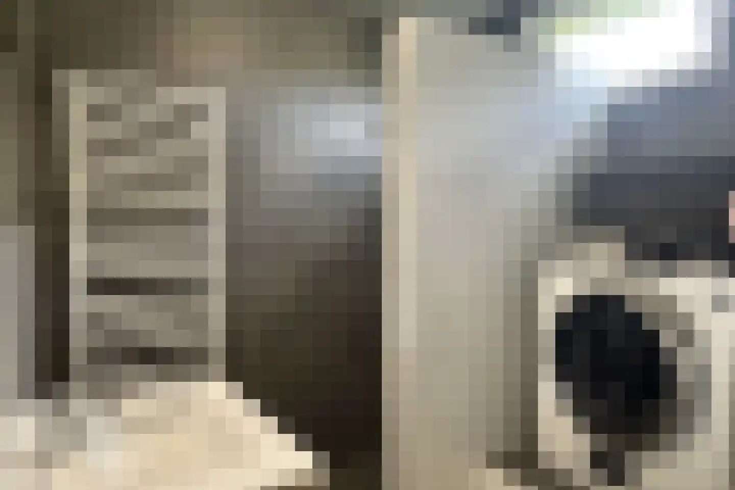 De Vennen 132 Vlagtwedde thumbnail 37