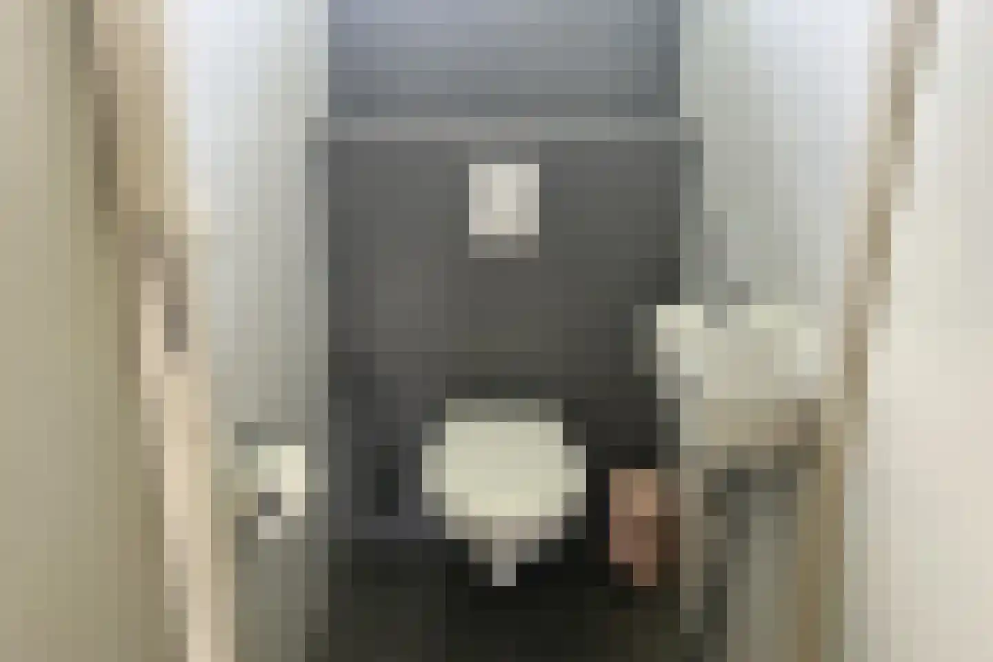 De Vennen 132 Vlagtwedde thumbnail 38