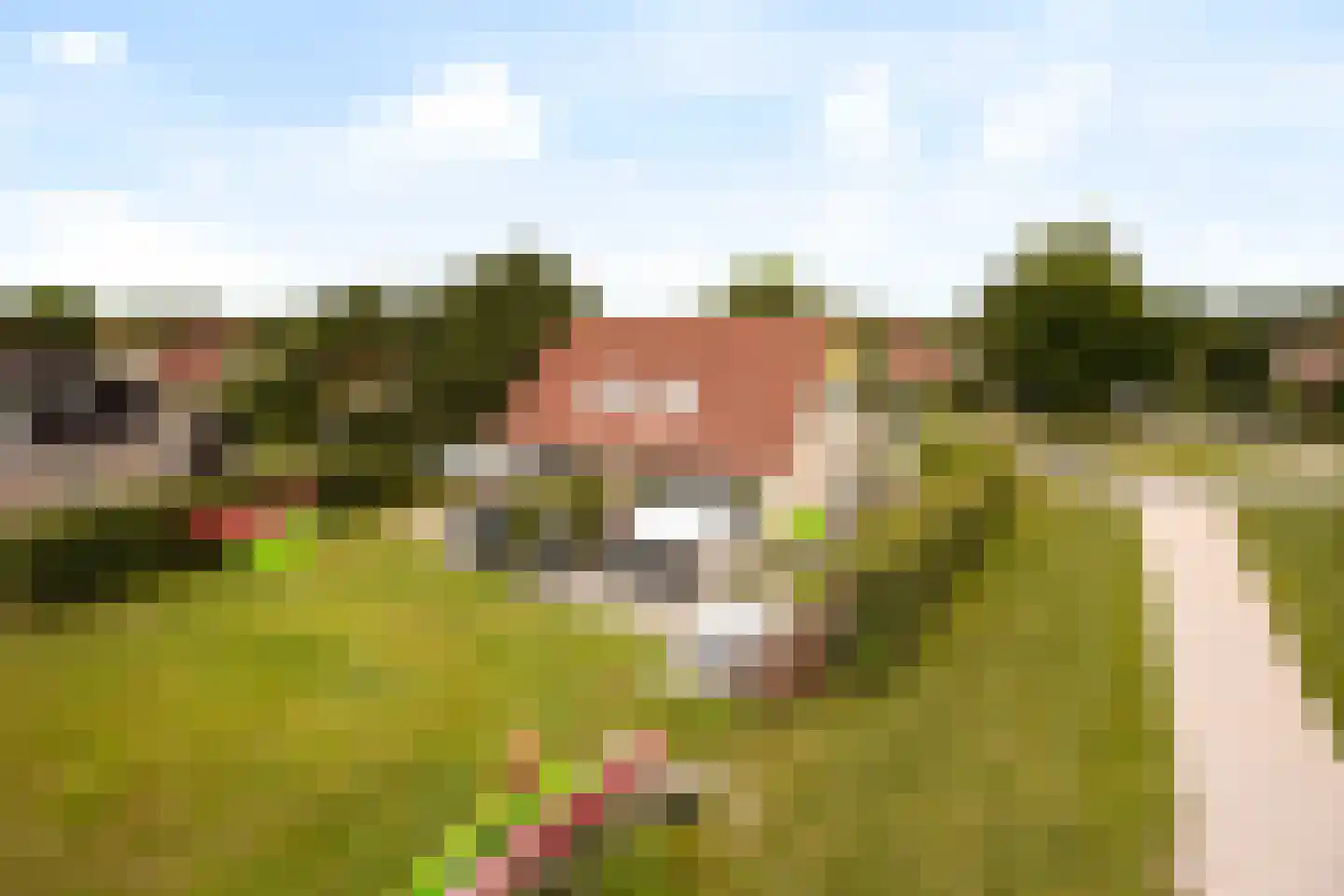 De Vennen 132 Vlagtwedde thumbnail 4