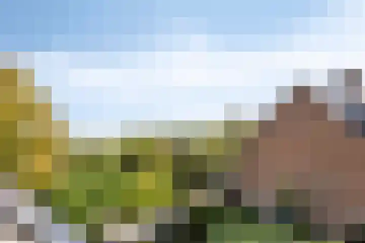 De Vennen 14 Broek in Waterland thumbnail 33