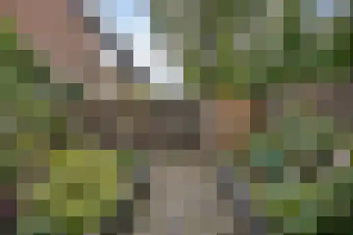 De Vennen 14 Broek in Waterland thumbnail 36