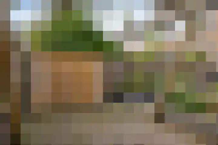 De Vennen 14 Broek in Waterland thumbnail 37