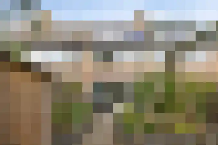 De Vennen 14 Broek in Waterland thumbnail 38