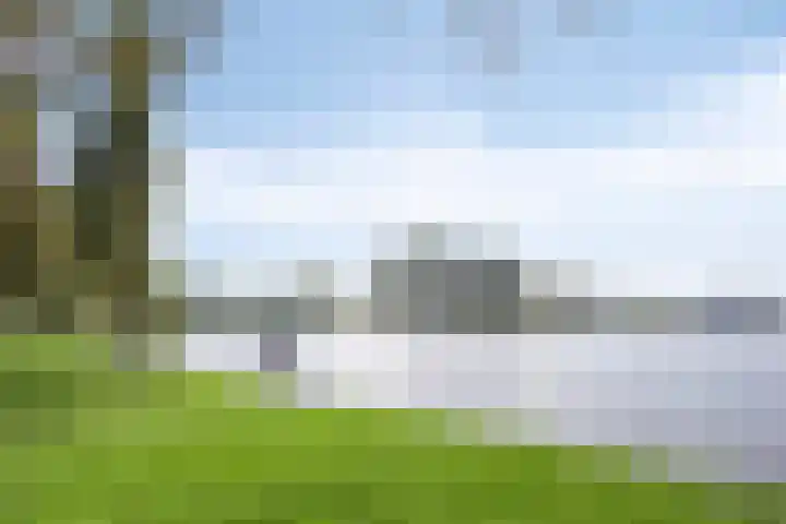 De Vennen 14 Broek in Waterland thumbnail 40