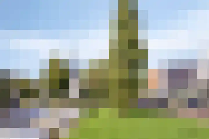 De Vennen 14 Broek in Waterland thumbnail 41